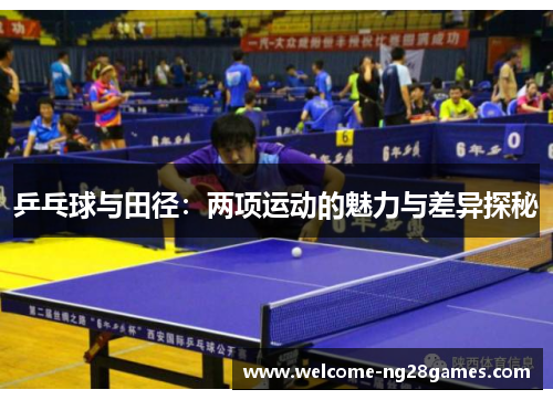 乒乓球与田径：两项运动的魅力与差异探秘