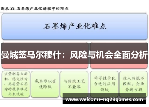 曼城签马尔穆什：风险与机会全面分析