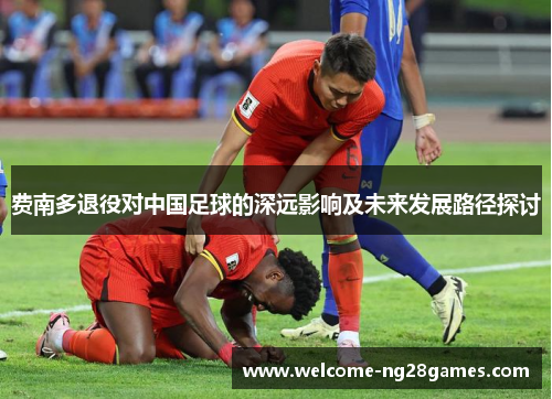 费南多退役对中国足球的深远影响及未来发展路径探讨