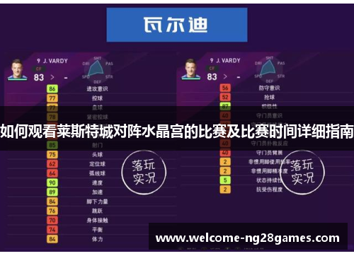如何观看莱斯特城对阵水晶宫的比赛及比赛时间详细指南