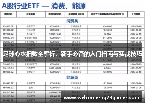 足球心水指数全解析：新手必备的入门指南与实战技巧
