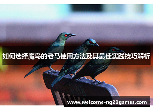 如何选择魔鸟的老马使用方法及其最佳实践技巧解析