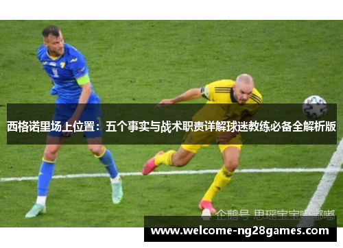 西格诺里场上位置：五个事实与战术职责详解球迷教练必备全解析版