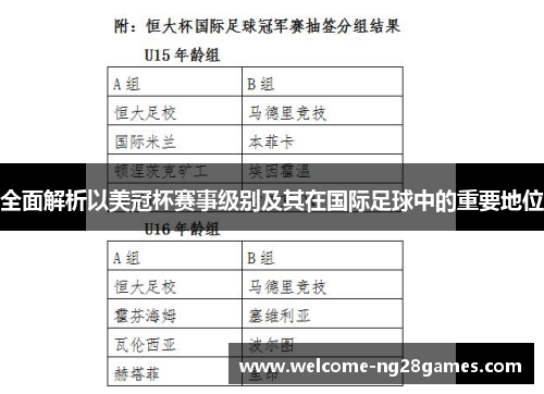 全面解析以美冠杯赛事级别及其在国际足球中的重要地位