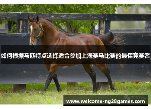如何根据马匹特点选择适合参加上海赛马比赛的最佳竞赛者