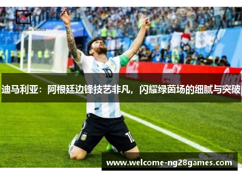 迪马利亚：阿根廷边锋技艺非凡，闪耀绿茵场的细腻与突破